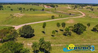 Hermosos terrenos en Complejo Acuatico